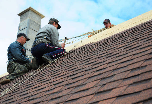 Best Roof Gutter Cleaning  in Gibsonton, FL